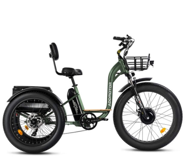 Fat tire electric trike top for sale